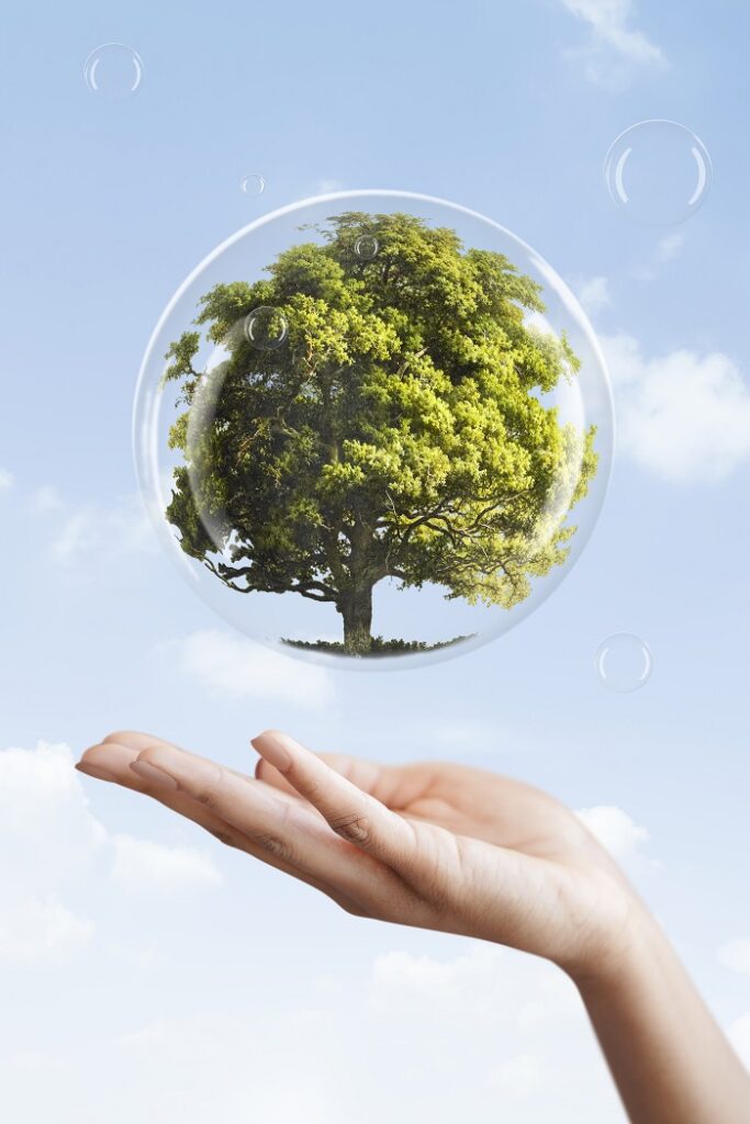 Développement durable